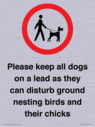 please-keep-all-dogs-on-a-lead-as-they-can-disturb-ground-nesting-birds-and-thei~